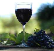 Lion Mill Vineyards - Holiday Adelaide