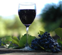 Lion Mill Vineyards - Holiday Adelaide 0