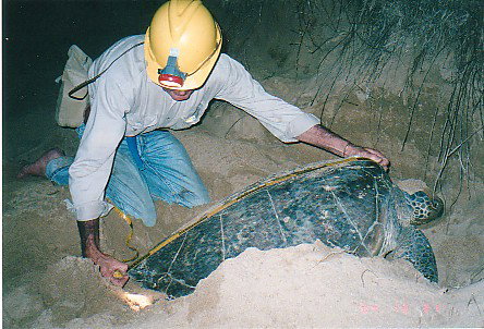 Footprints Adventures - Holiday Adelaide 2