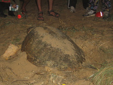 Footprints Adventures - Holiday Adelaide 3