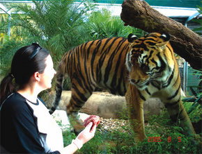 Crocodylus Park - Holiday Adelaide 1