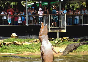 Crocodylus Park - Holiday Adelaide 2