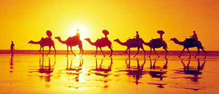 Banksia Adventures - Holiday Adelaide 1