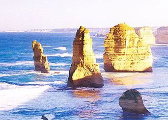 Bunyip Tours - Holiday Adelaide 3