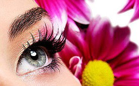 Glow Retreat - Holiday Adelaide 5