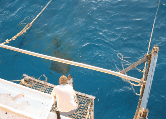 Carlo Fishing Charters - Holiday Adelaide 4