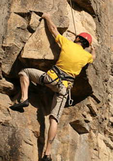 Adventures Around Brisbane - Holiday Adelaide 3