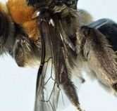 Western Australian Museum - Holiday Adelaide