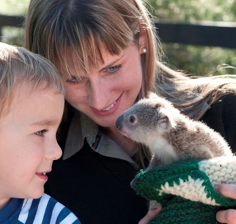 Australian Reptile Park - Holiday Adelaide 1