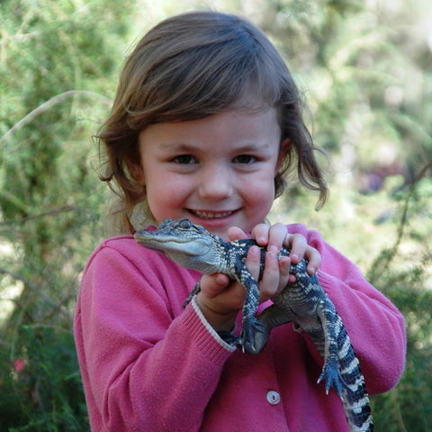 Australian Reptile Park - Holiday Adelaide 2