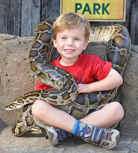Australian Reptile Park - Holiday Adelaide 3