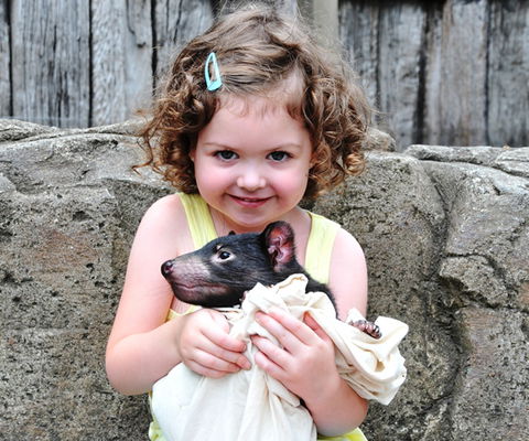 Australian Reptile Park - Holiday Adelaide 8