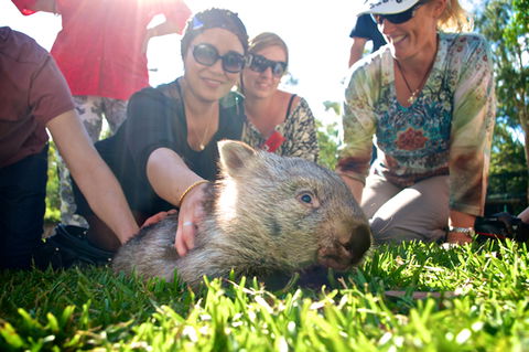 Australian Reptile Park - Holiday Adelaide 10