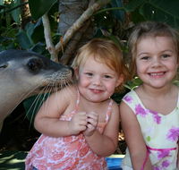 Dolphin Marine Magic - Holiday Adelaide