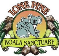 Lone Pine Koala Sanctuary - Holiday Adelaide