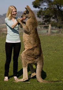 Zoo Doo Wildlife Park - Holiday Adelaide 5