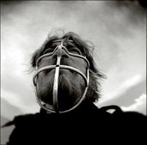 Australian Centre For Photography - Holiday Adelaide 3