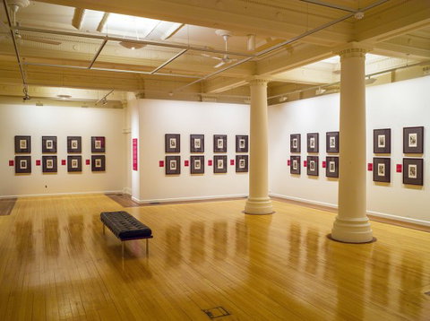 Cairns Regional Gallery - Holiday Adelaide 2