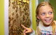 The Ginger Factory - thumb 8