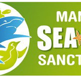Manly SEA LIFE Sanctuary - Holiday Adelaide