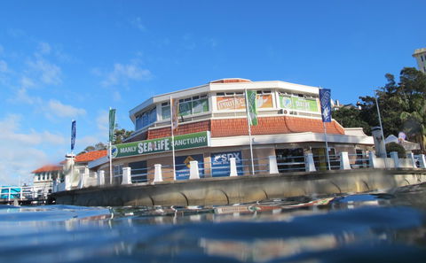 Manly SEA LIFE Sanctuary - Holiday Adelaide 2