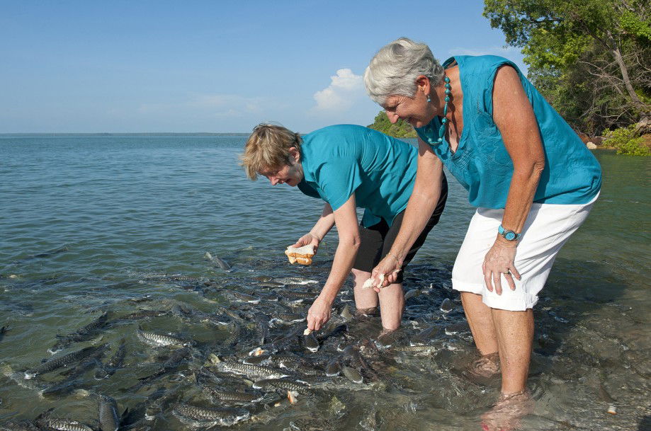 Darwin City NT Holiday Adelaide