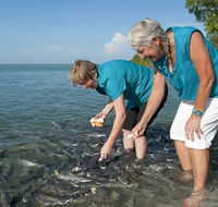 Aquascene Fish Feeding Sanctuary - Holiday Adelaide