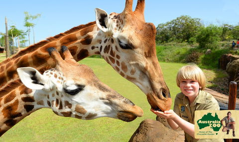 Australia Zoo - Holiday Adelaide 4