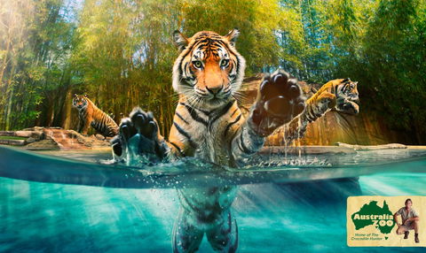 Australia Zoo - Holiday Adelaide 9