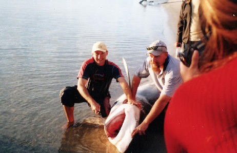 True Blue Fishing Charters - Holiday Adelaide 1