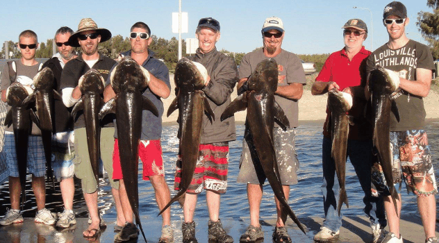 BKs Gold Coast Fishing Charters - Holiday Adelaide 1