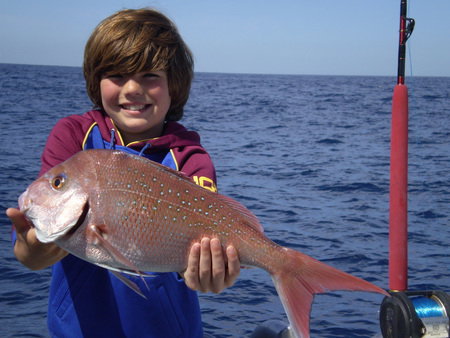 Mills Charters Fishing And Whale Watch Cruises - Holiday Adelaide 4