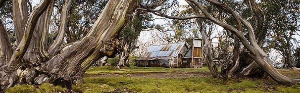 High Country Scenic Tours - Holiday Adelaide