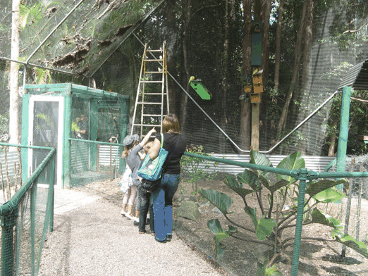 Bellingham Maze - Holiday Adelaide 7