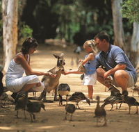 Billabong Sanctuary - Holiday Adelaide