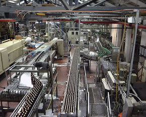 Cascade Brewery Tour - Holiday Adelaide 2