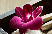 Blush Beauty Saloons - Holiday Adelaide 4