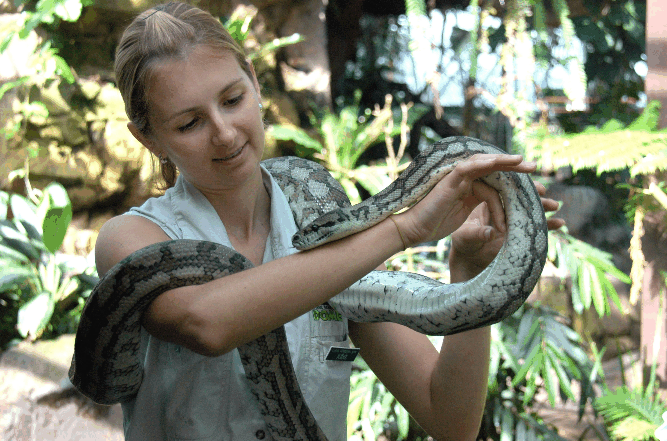 Cairns Wildlife Dome - Holiday Adelaide 2