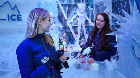 Icebar Melbourne - Holiday Adelaide 1