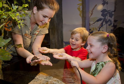 WILD LIFE Sydney Zoo - Holiday Adelaide 1