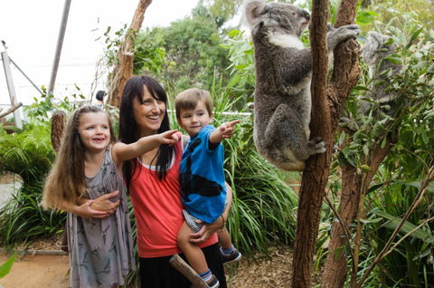 WILD LIFE Sydney Zoo - Holiday Adelaide 3