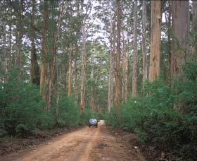 Boranup Drive - Holiday Adelaide 0