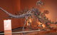 Denmark Dinosaur World - thumb 0
