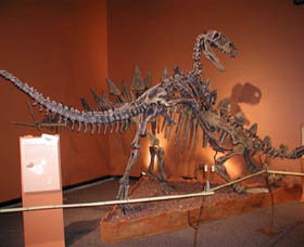 Denmark Dinosaur World - Holiday Adelaide 0