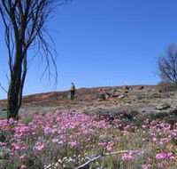 Talgomine Reserve - Holiday Adelaide
