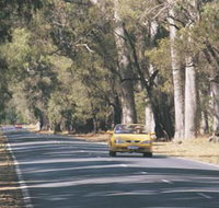 Ludlow Tuart Forest - Holiday Adelaide