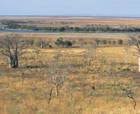 Marglu Billabong - Holiday Adelaide 0