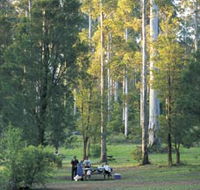 Big Brook Arboretum - Holiday Adelaide