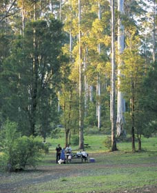 Big Brook Arboretum - Holiday Adelaide 0
