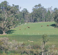 Scenic Drives - Bunbury Collie Donnybrook - Holiday Adelaide